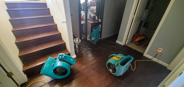 Best Water damage restoration near me  in Oak Harbor, OH