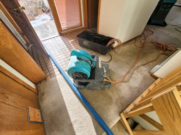 Best Flood damage cleanup  in Oak Harbor, OH