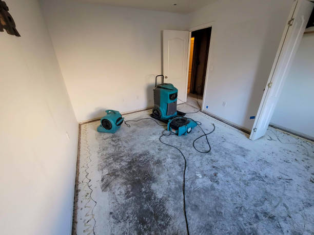 Best Fire Damage Restoration  in Oak Harbor, OH
