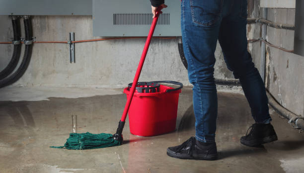 Best 24/7 water damage repair  in Oak Harbor, OH