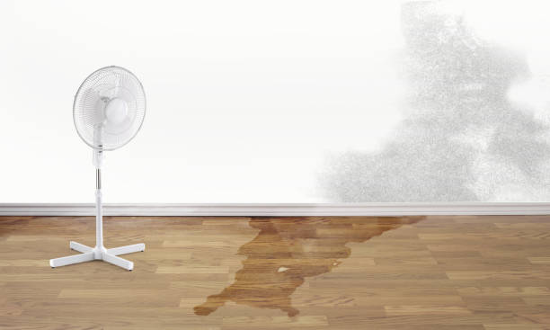 Best Sewage cleanup and water damage restoration  in Oak Harbor, OH