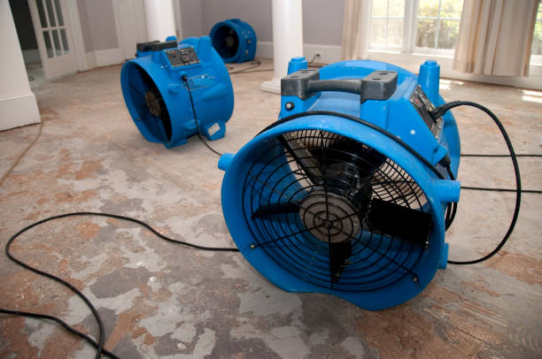 Reliable OH Water damage restoration Solutions