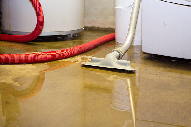 Best Water damage restoration services  in Oak Harbor, OH