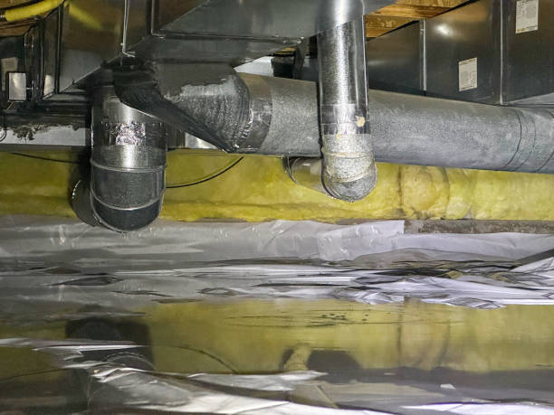 Best Emergency water damage restoration  in Oak Harbor, OH