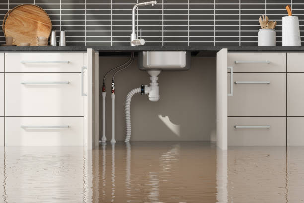 Best Local water damage restoration  in Oak Harbor, OH