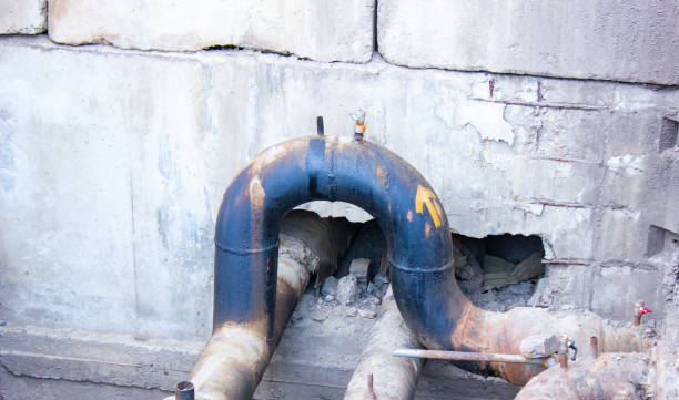 Best Flooded house restoration  in Oak Harbor, OH