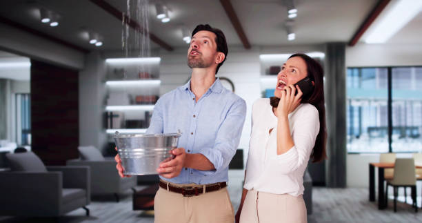 Best Ceiling water damage repair  in Oak Harbor, OH